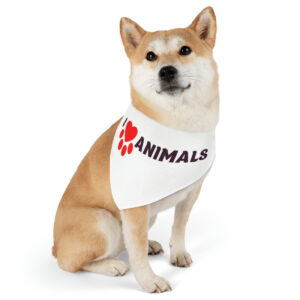 Pet Bandana Collar
